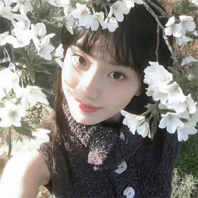 树篱女巫