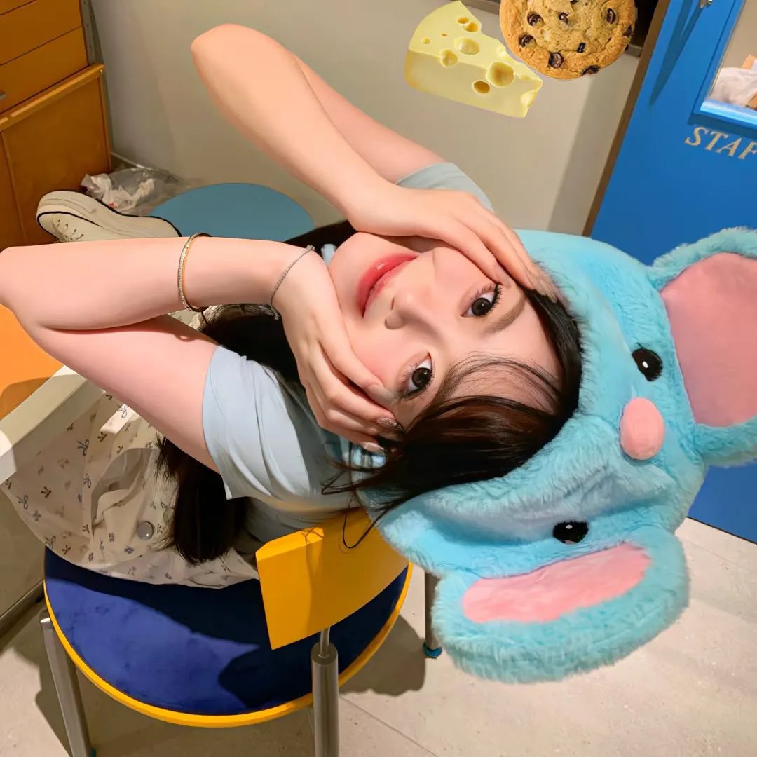 血型拼图